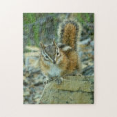 Chipmunk in Glacier National Park Legpuzzel (Verticaal)