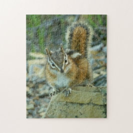 Chipmunk in Glacier National Park Legpuzzel