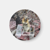 Chipmunk in Glacier National Park Magneet (Voorkant)
