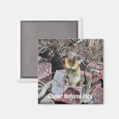 Chipmunk in Glacier National Park Magneet (Voorkant / Achterkant)