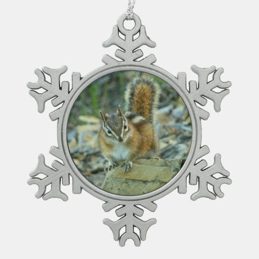 Chipmunk in Glacier National Park Tin Sneeuwvlok Ornament (Voorkant)