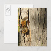 Chipmunk in Herfst Briefkaart (Voorkant / Achterkant)
