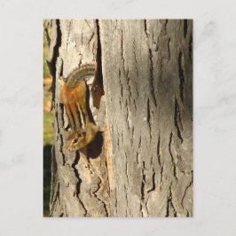 Chipmunk in Herfst Briefkaart