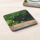 Chipmunk in Hot Springs Bier Onderzetter (Linkerzijde)