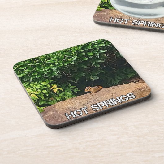 Chipmunk in Hot Springs Bier Onderzetter (Linkerzijde)