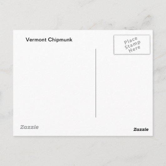 Chipmunk in Warren Vermont Briefkaart (Achterkant)