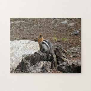Chipmunk in Yosemite, Californië Legpuzzel