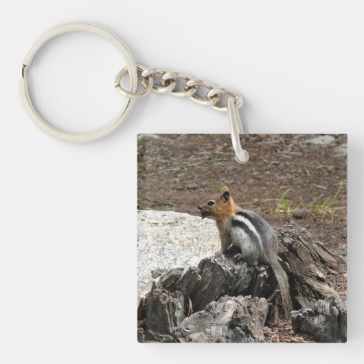 Chipmunk in Yosemite, Californië Sleutelhanger (voorkant)