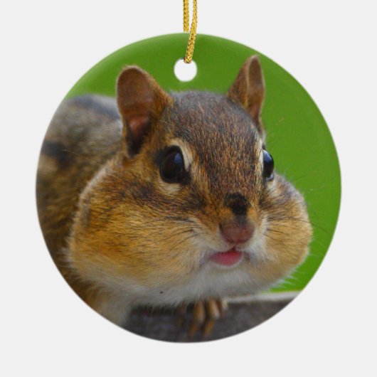 chipmunk is vol keramisch ornament (Voorkant)
