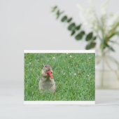 Chipmunk.JPG Briefkaart (Staand voorkant)