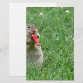 Chipmunk.JPG Briefpapier (Voorkant / Achterkant)