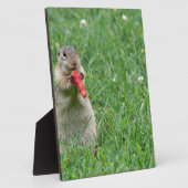Chipmunk.JPG Fotoplaat (Zijkant)