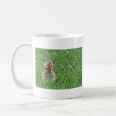 Chipmunk.JPG Koffiemok (Links)