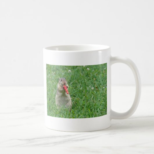 Chipmunk.JPG Koffiemok (Rechts)