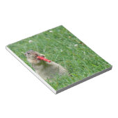 Chipmunk.JPG Notitieblok (Schuin)