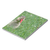 Chipmunk.JPG Notitieblok (Linkerzijde)