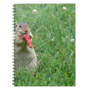 Chipmunk.JPG Notitieboek