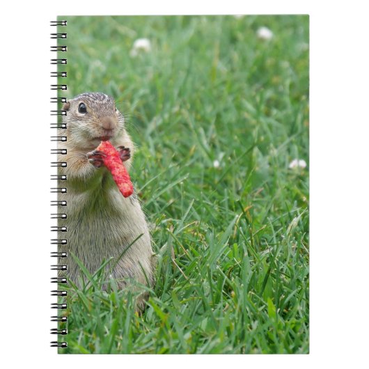 Chipmunk.JPG Notitieboek (Voorkant)