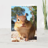 Chipmunk Kaart (Voorkant)