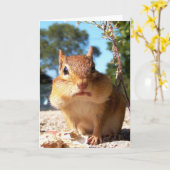 Chipmunk Kaart (Gele Bloem)
