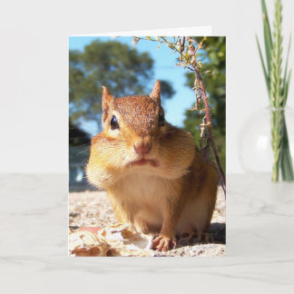 Chipmunk Kaart