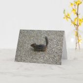 Chipmunk Kaart (Gele Bloem)