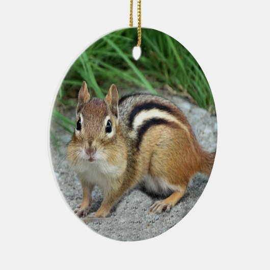 Chipmunk Keramisch Ornament (Rechts)
