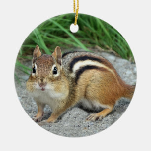 Chipmunk Keramisch Ornament