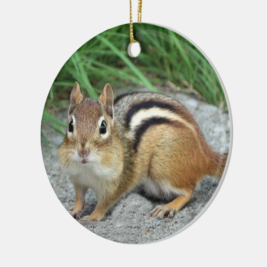 Chipmunk Keramisch Ornament (Links)