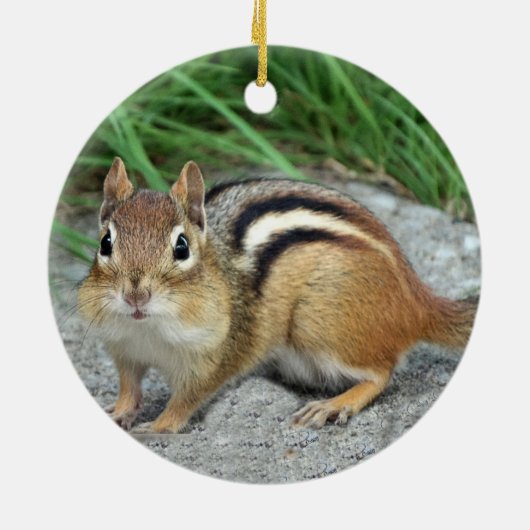 Chipmunk Keramisch Ornament (Achterkant)