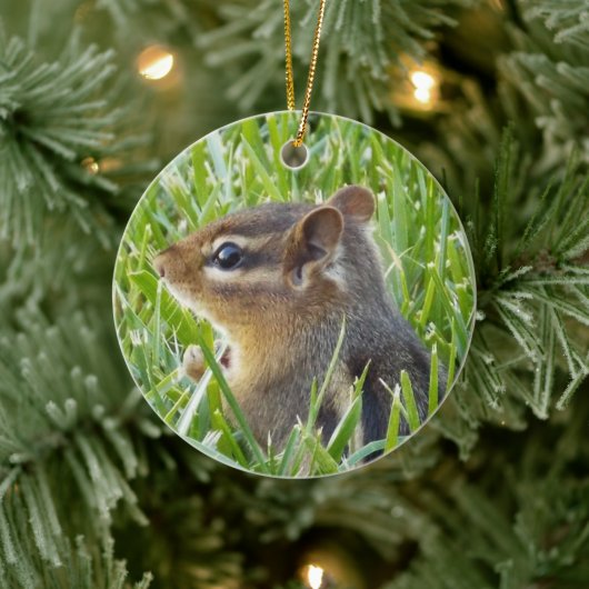 Chipmunk Keramisch Ornament (Boom)
