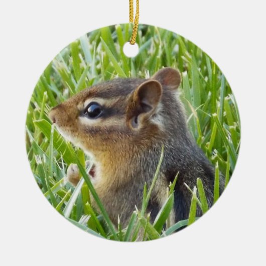 Chipmunk Keramisch Ornament (Voorkant)