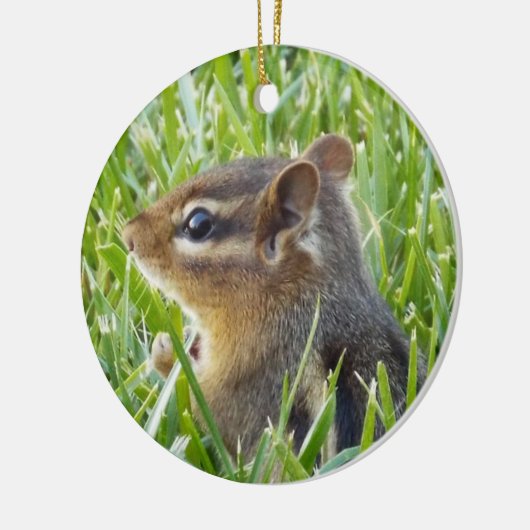 Chipmunk Keramisch Ornament (Links)