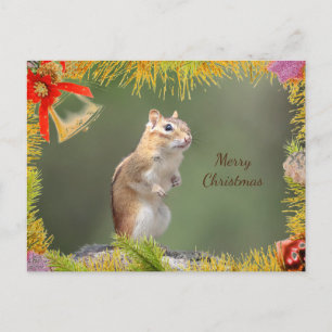 Chipmunk Kerst Kaart