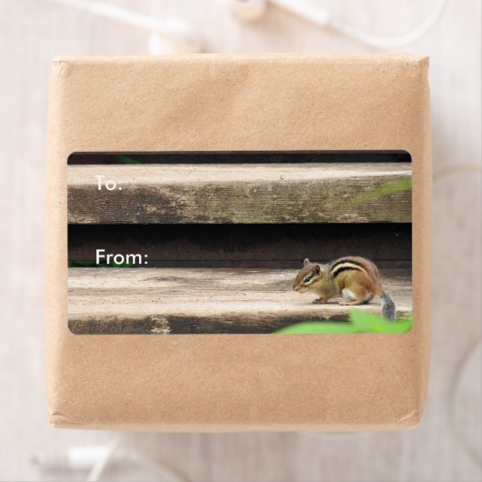 Chipmunk-klimtrap Etiket (Insitu)