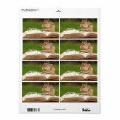 Chipmunk leesboekje etiket (Full Sheet)