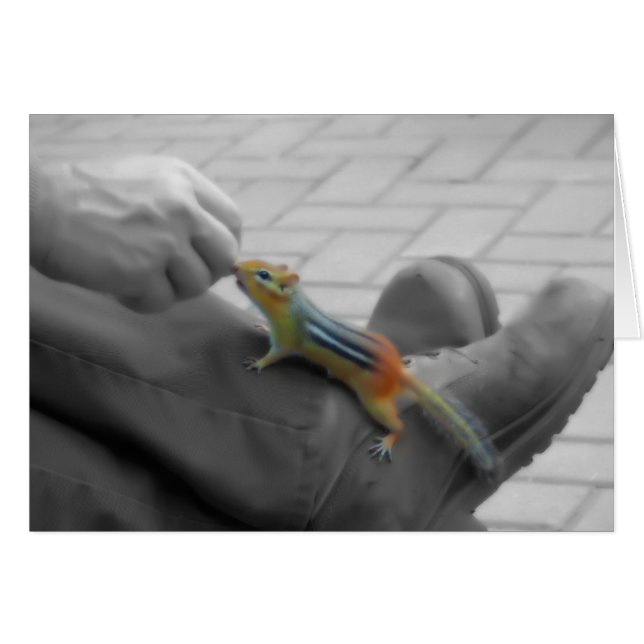 Chipmunk Lunch (Voorkant Horizontaal)