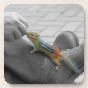 Chipmunk Lunch Drankjes Onderzetter