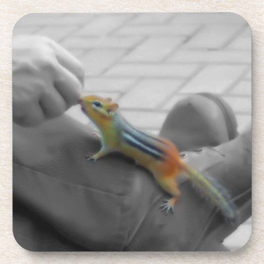 Chipmunk Lunch Drankjes Onderzetter (Voorkant)