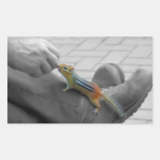 Chipmunk Lunch Rechthoekige Sticker (Voorkant)