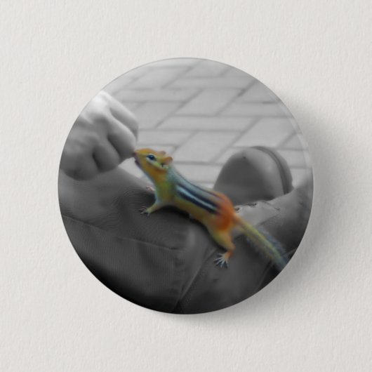 Chipmunk Lunch Ronde Button 5,7 Cm (Voorkant)