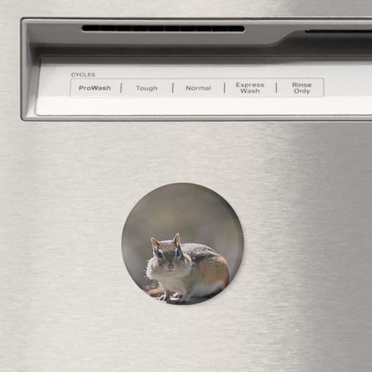 Chipmunk Magneet (Insitu (Vaatwasser))