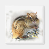 Chipmunk Magneet (Voorkant)