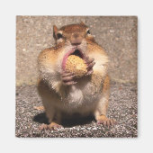 Chipmunk - Magneet (Voorkant)