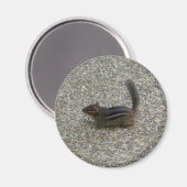 Chipmunk Magneet (Voorkant / Achterkant)