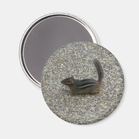 Chipmunk Magneet (Voorkant / Achterkant)