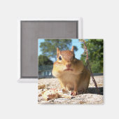 Chipmunk - Magneet (Voorkant / Achterkant)