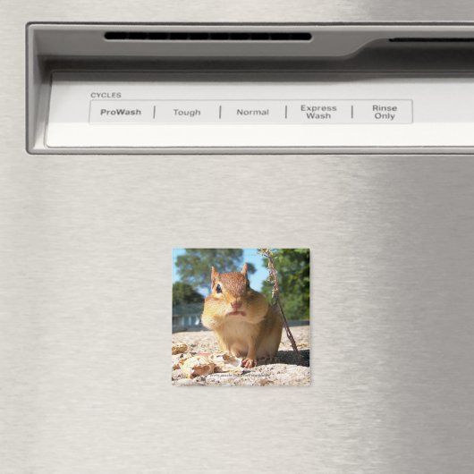 Chipmunk - Magneet (Insitu (Vaatwasser))