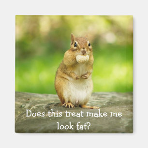 Chipmunk met behandeling magneet