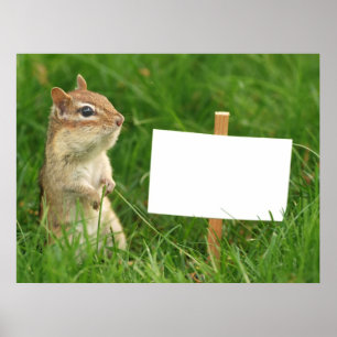 chipmunk met blanco teken poster